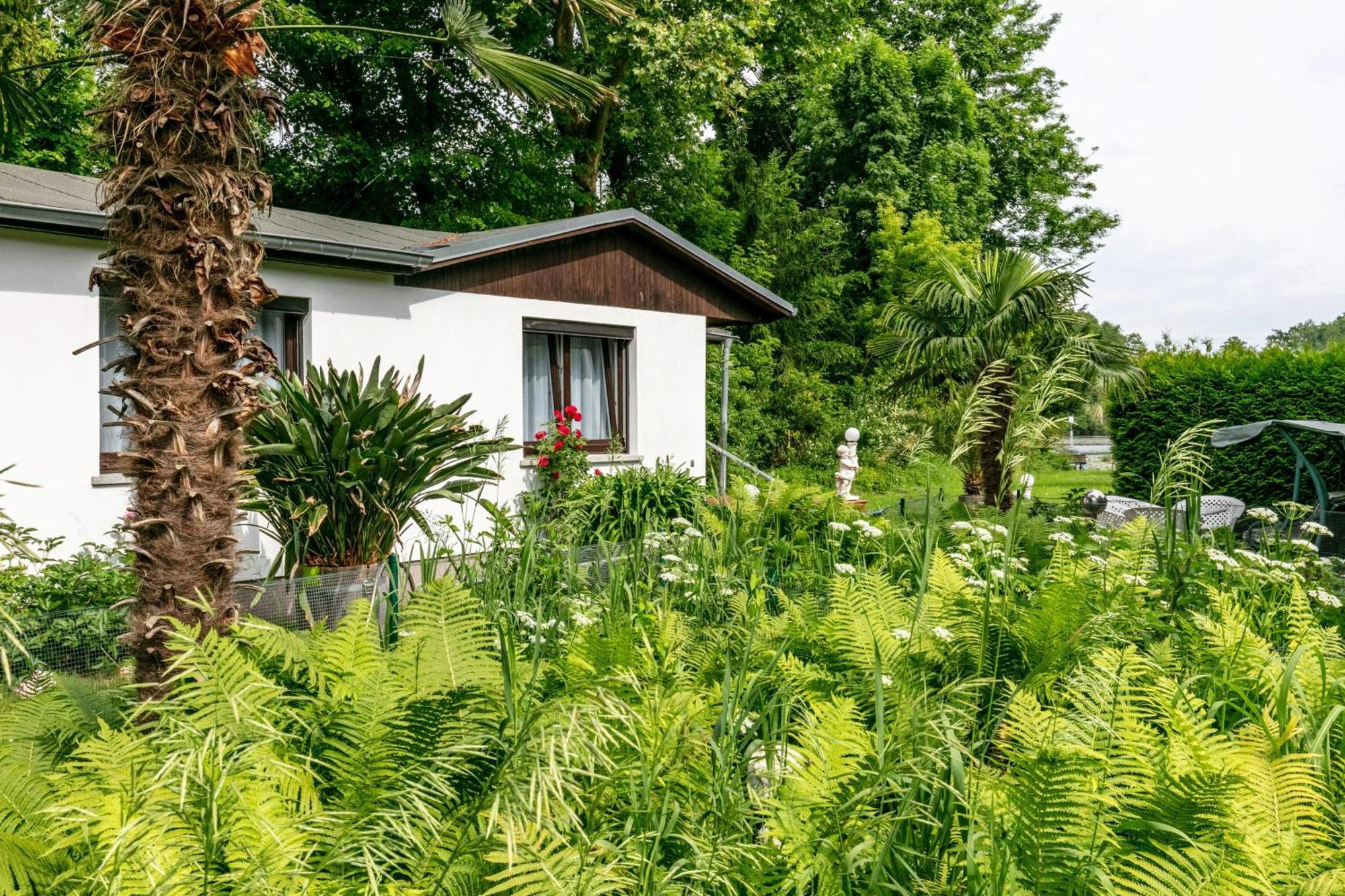 Haus Am See Villa Königs Wusterhausen Exterior foto